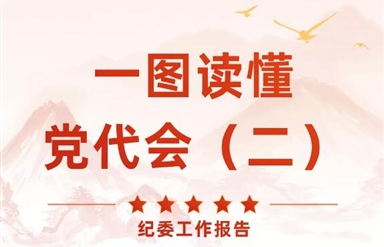 一图读懂 | 中共四川雷竞技官网雷竞技平台纪委工作报告速览